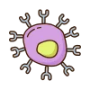 CAR-T Cell Therapy