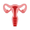 Gynecological Cancer Surgery